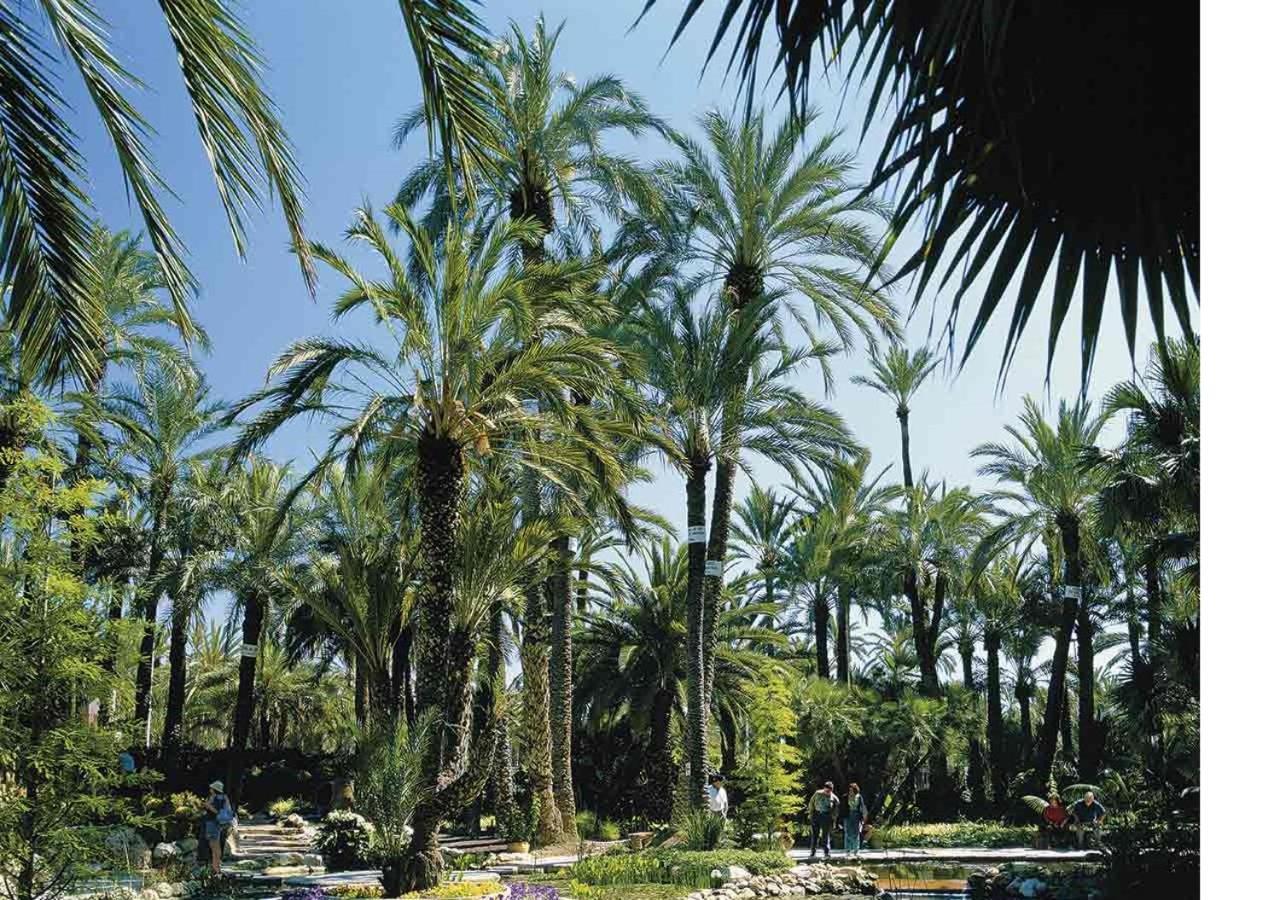 Luxury New Apartment City Centre & Beach, Alicante Buitenkant foto